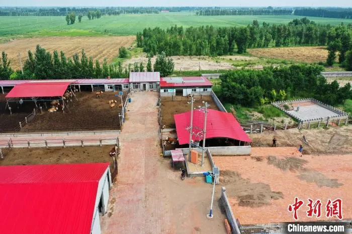 图为航拍曹艳哲的养殖场。　吕志敏 摄