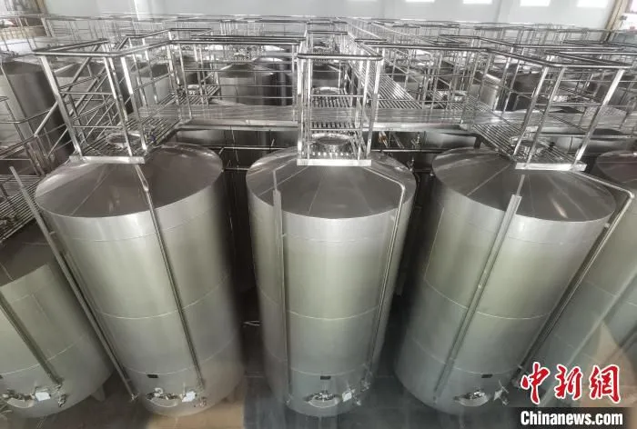 图为酿酒车间。　胡健 摄