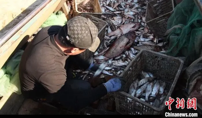 第一网“开湖鱼”鱼虾满仓。　 于金鑫 　摄