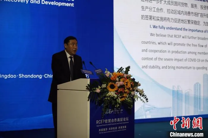 中国贸促会、中国国际商会副会长张少刚进行发布。　胡耀杰 摄