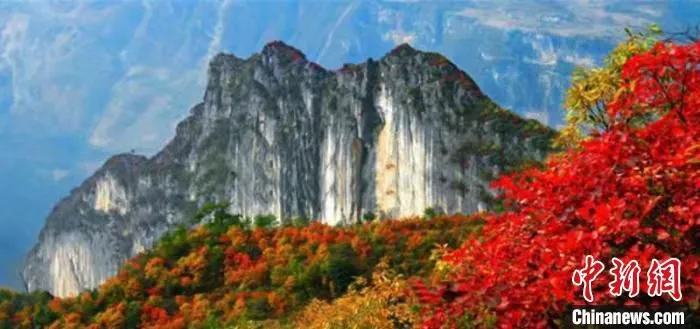 三峡红叶。　巫溪县委宣传部供图