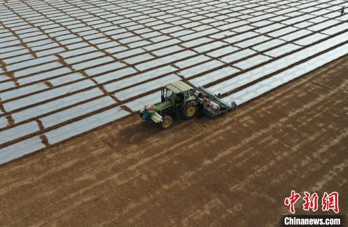 库车市牙哈镇守努特村高标准棉花种植基地，大马力导航无人驾驶拖拉机正在进行精量播种。　樊凯 摄