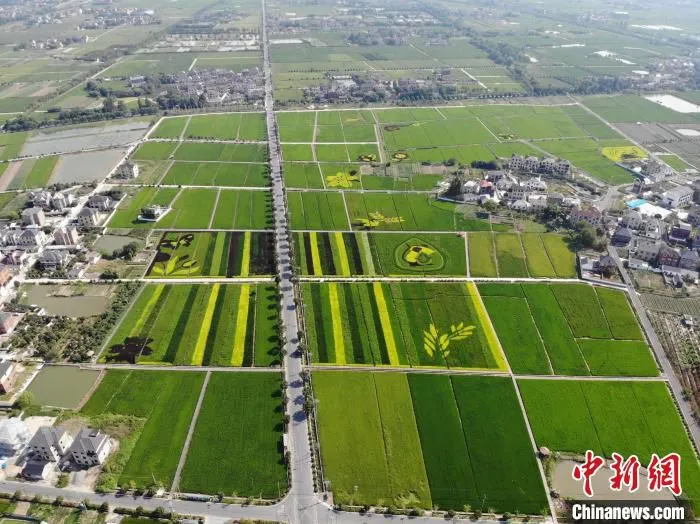 余杭永安村 余杭区委宣传部供图