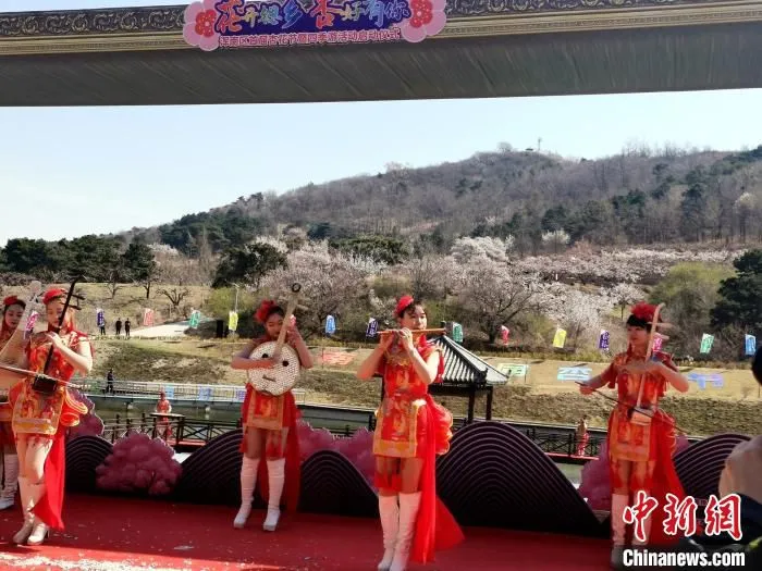 美妙音乐奏响杏花林。　赵桂华 摄