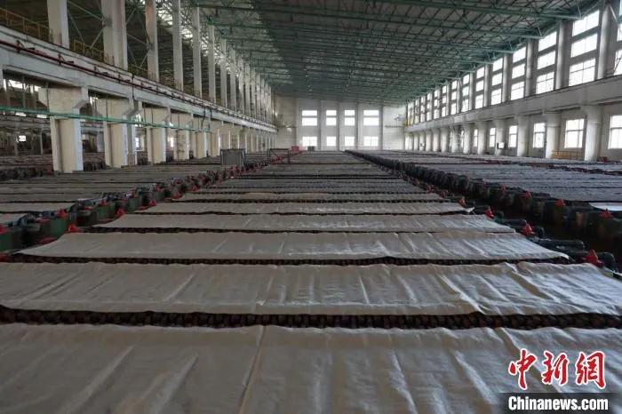 图为梧州循环经济产业园一处再生铜冶炼厂房。　王伟臣 摄