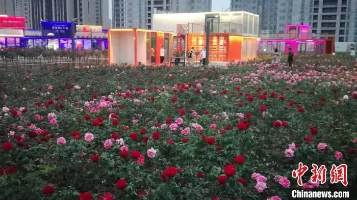 游园会现场。　沈阳市和平区供图