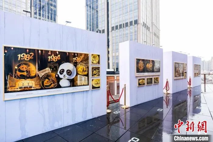 2022版熊猫贵金属纪念币正式发行 主办方 摄