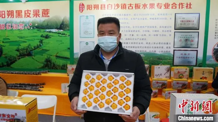 广西桂林市阳朔县参展商在农交会展示金桔。　欧惠兰 摄