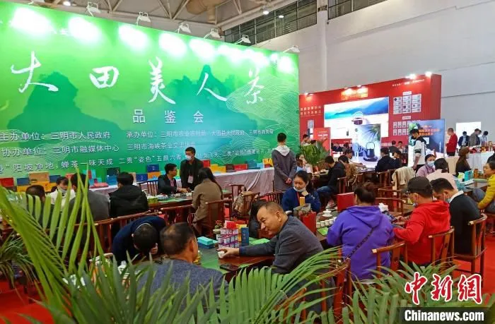 图为：大田美人茶品鉴会现场。　郑宗栖供图