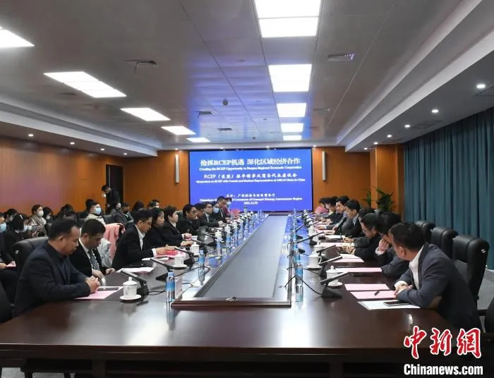 图为广西商务部门负责人与RCEP(东盟)驻华领事及商务代表座谈 林浩 摄