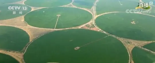 【走进乡村看小康】陕西榆林沙地变良田 第三产业发展给百姓带来更多就业机会