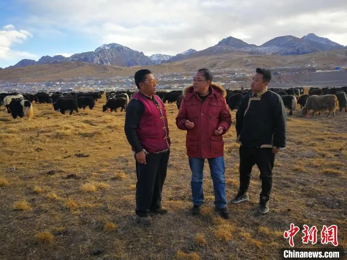 图为宋仁德(中)在牧区查看牦牛养殖情况。　受访者供图