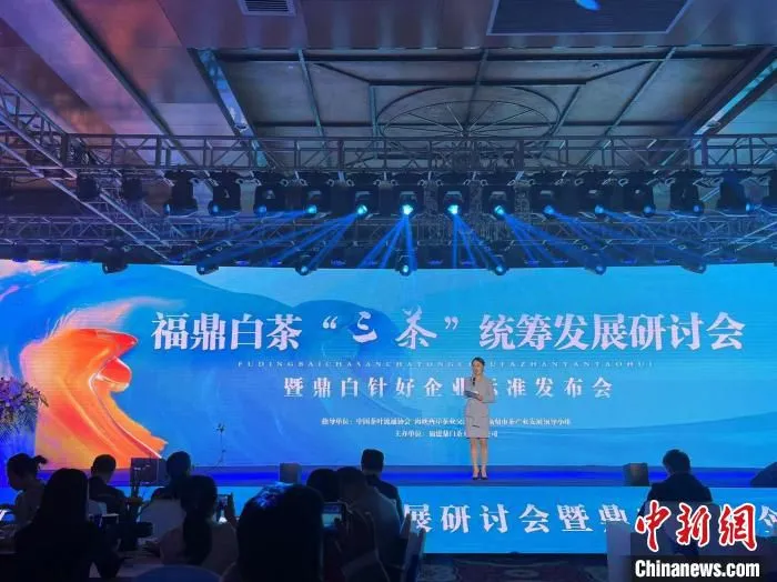 图为：研讨会现场。　林朝曦供图
