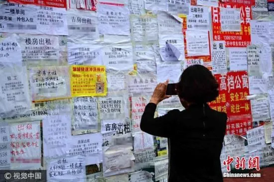 资料图：租房广告栏。 图片来源：视觉中国