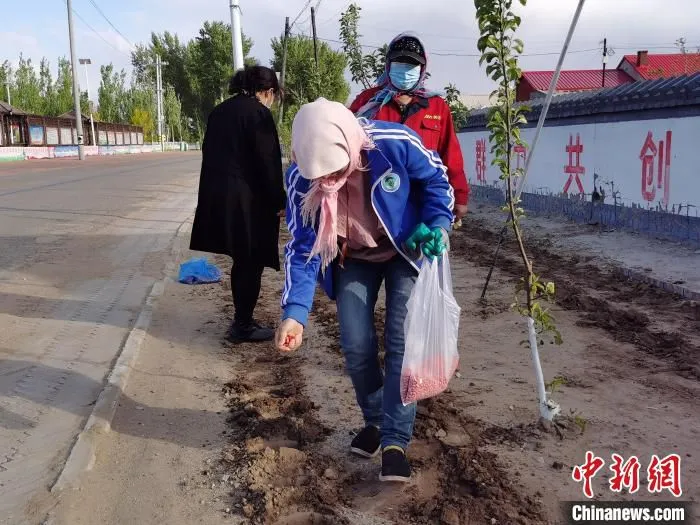 图为丛志杰在种花生。　胡建华 摄