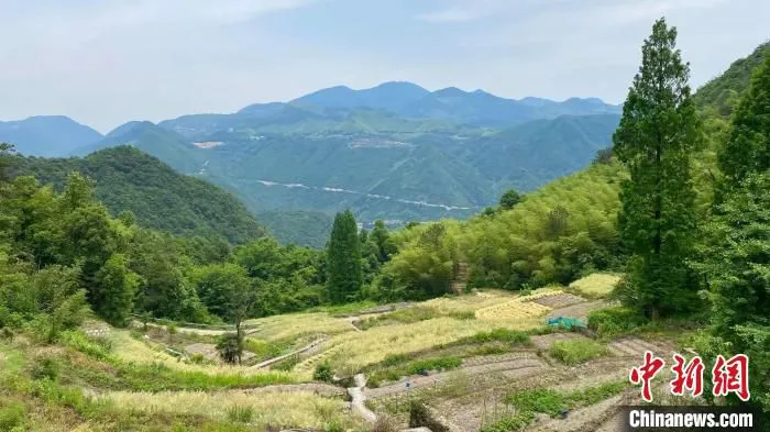 浙江某地美丽乡村。　钱晨菲 摄