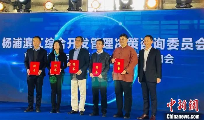 15位专家按各自专业领域分为三个组。　杨浦新闻办 摄