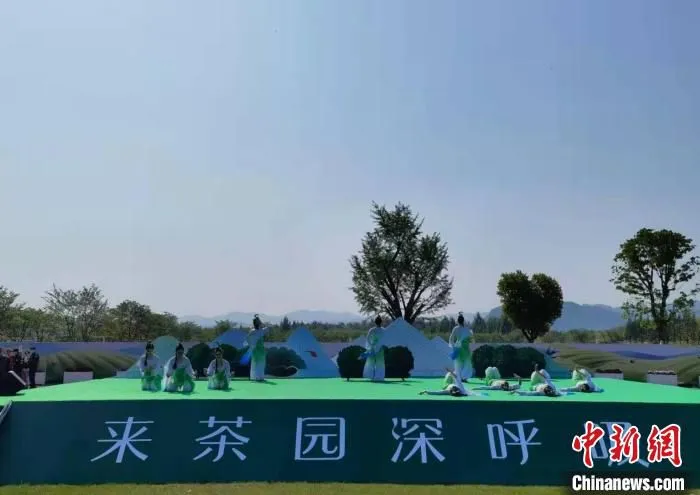 2021年首届武义茶旅游活动暨新闻发布会现场。　胡丁于 摄