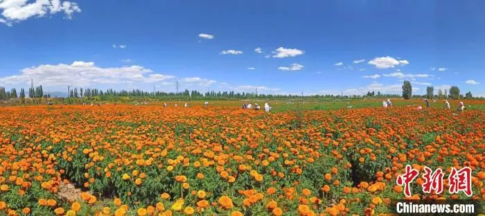 2021年秋日的张掖市民乐乡村。(资料图) 杨艳敏 摄