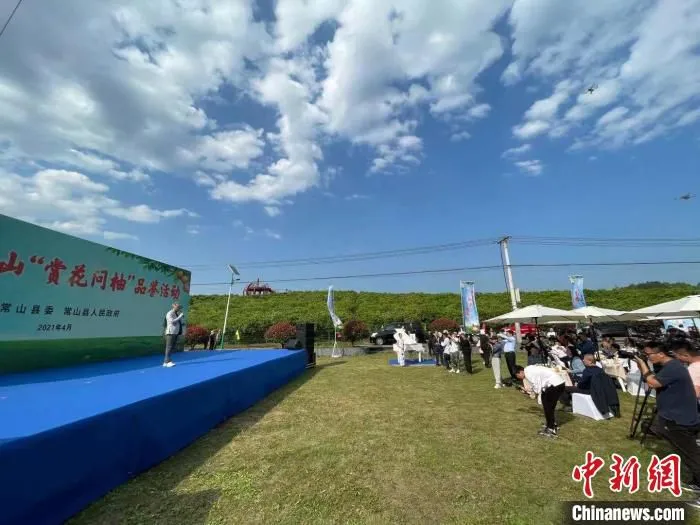 资料图：中国·常山“赏花问柚”品鉴活动现场。　张斌 摄