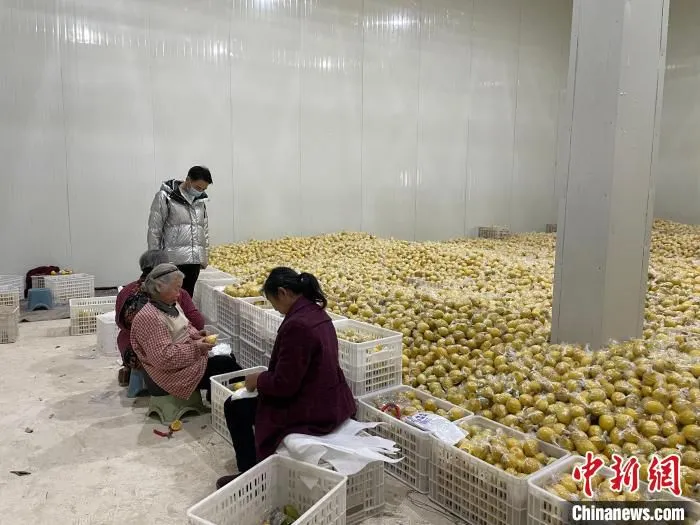 工人正在进行包装。　祝欢 摄