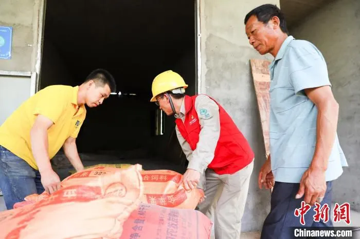 肖凤辉卸下稻谷，准备倒入烤房。　饶丽英 摄