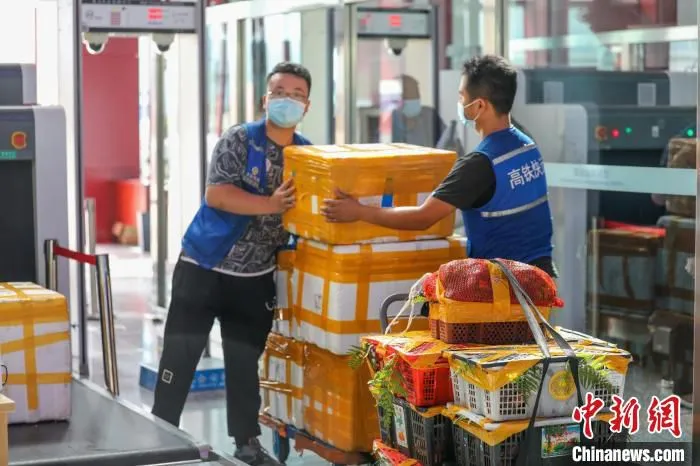 图为云南野生菌搭乘动车运往全国各地。　何思远 摄