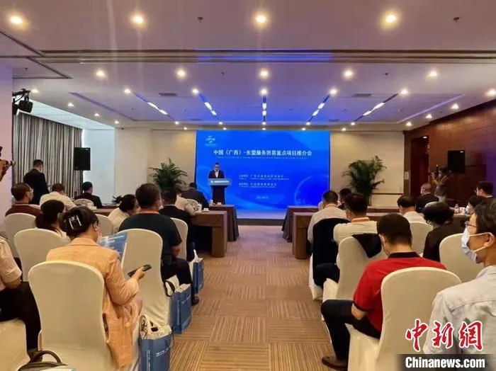 图为中国(广西)—东盟服务贸易重点项目推介会现场 广西商务厅供图