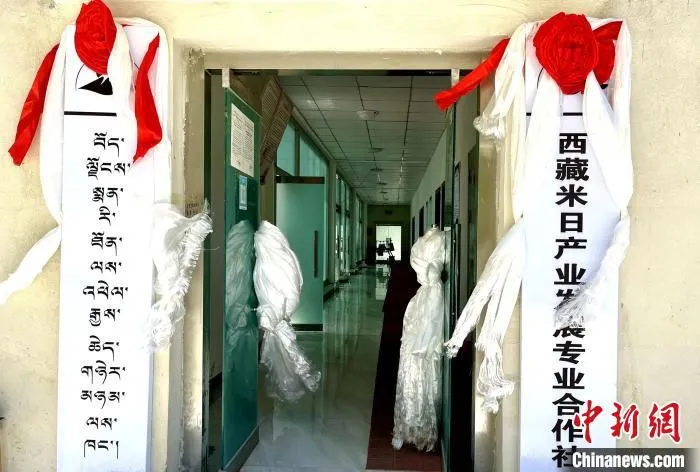 图为日前揭牌成立的米日产业发展专业合作社。　旦罗 摄