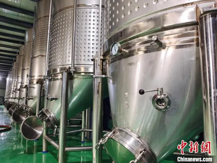 成熟的葡萄经加工后被装进发酵罐中。　史玉江 摄