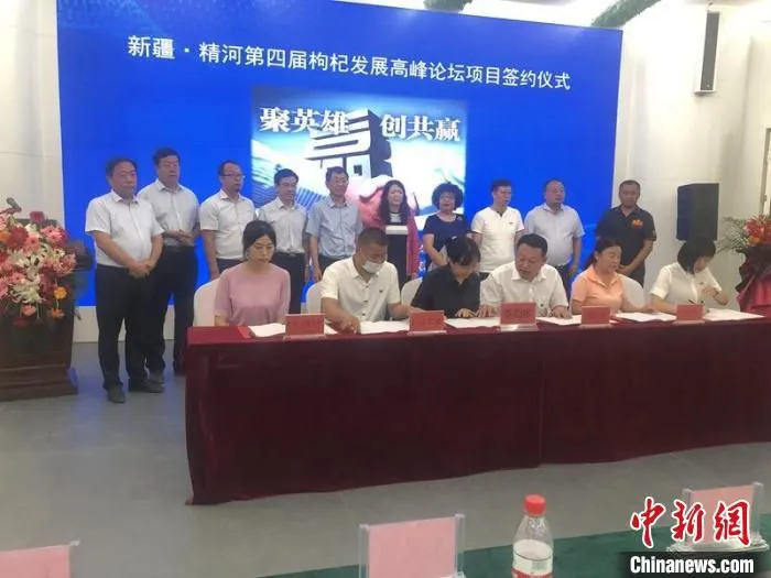 三家企业与精河县签约合作协议。　陶拴科 摄