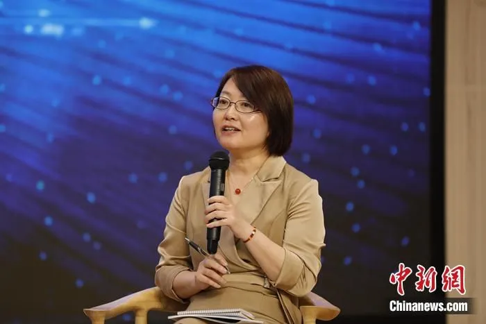 　　中国社会科学院世界经济与政治研究所研究员郎平在“数字时代的数字资源安全”圆桌研讨会上发言。