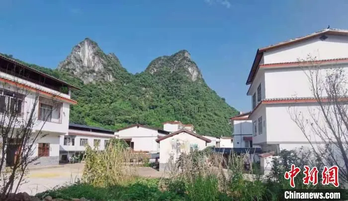 图为与阳朔山水融为一体的喜龙村壮族民宿 林浩 摄 图为与阳朔山水融为一体的喜龙村壮族民宿 林浩 摄