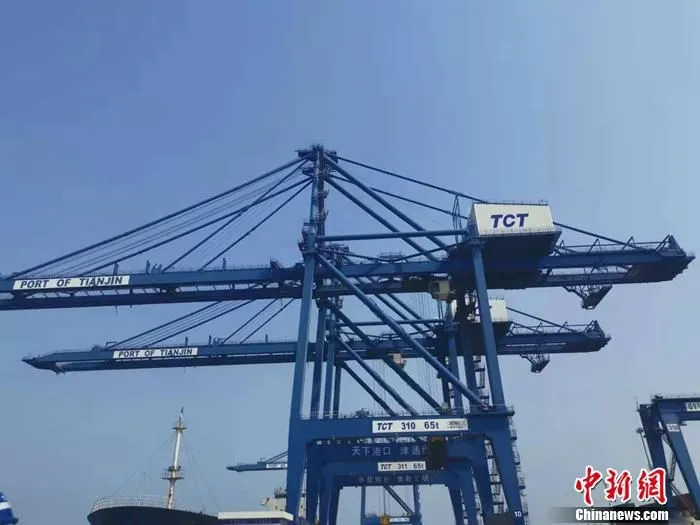 图为天津港港口。 中新网记者 谢艺观 摄