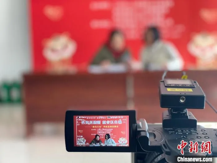 图为河北省廊坊三河市一场网络直播招聘会现场。　高澍 摄