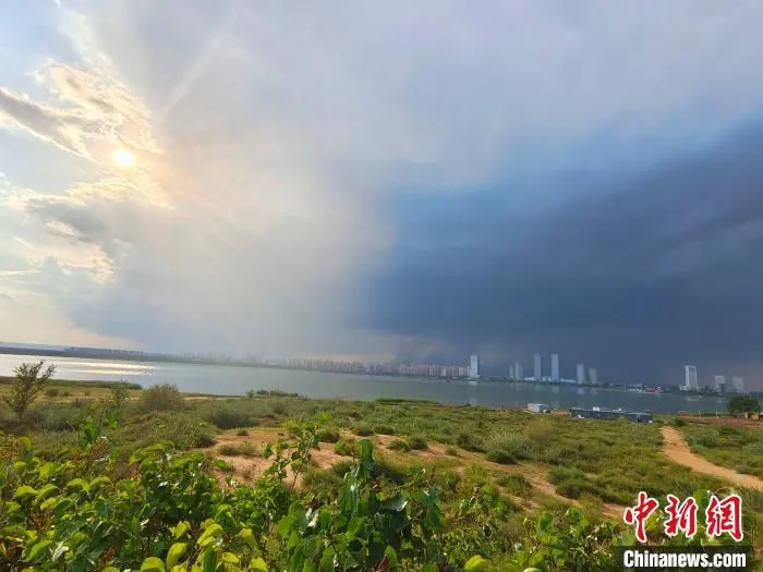 图为远眺鄂尔多斯市红海子湿地(资料图)。　张林虎 摄