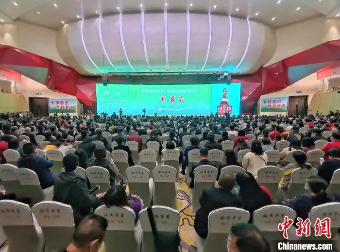图为第13届贵州茶博会开幕式现场。　瞿宏伦 摄