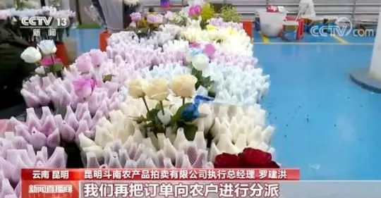 假期消费市场观察 | 两节至 年味浓 鲜花扮靓城乡生活