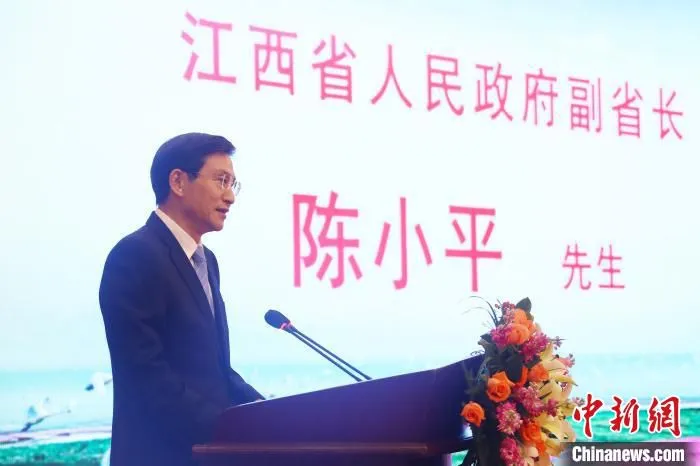图为5月19日下午，江西省政府副省长陈小平在2021江西(东莞)招商引资推介会上致辞。　记者 刘占昆 摄