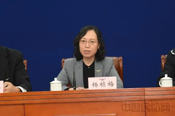 民航局航空器适航审定司司长杨桢梅。民航局供图