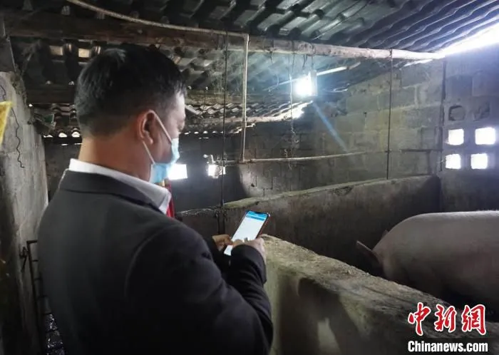 李林使用“防控管家”App开展工作。　周燕玲 摄