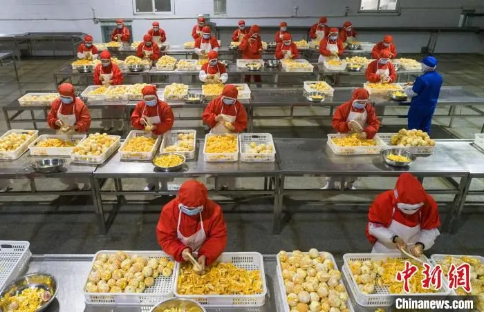 精深加工让脐橙实现零废弃综合利用。(资料图) 郑家裕 摄