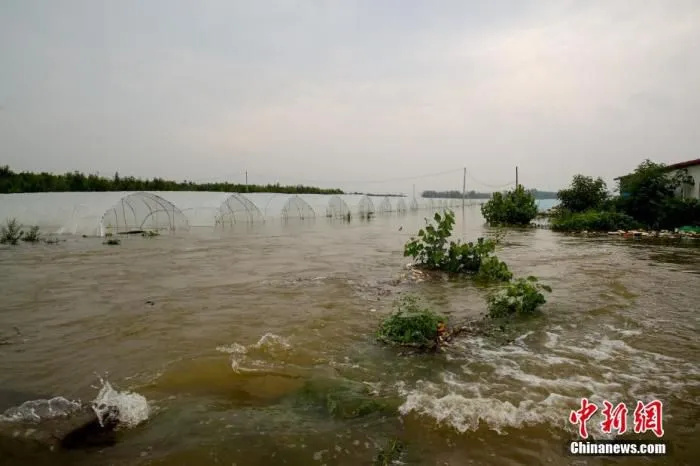 7月22日，安阳市西于曹村附近，积水已经漫过301省道，部分房屋农田被淹。19日至22日，河南安阳遭遇强降水，平均降水304.6毫米。据气象部门预测，22日16时以后安阳市有分散性阵雨，23日白天降水趋于结束。图为被淹的农田。 中新社记者 　张畅 摄 　