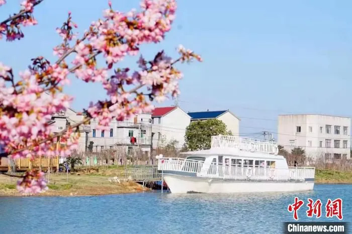 浙江柯城新姜村一景。 王紫盈 摄 浙江柯城新姜村一景。 王紫盈 摄