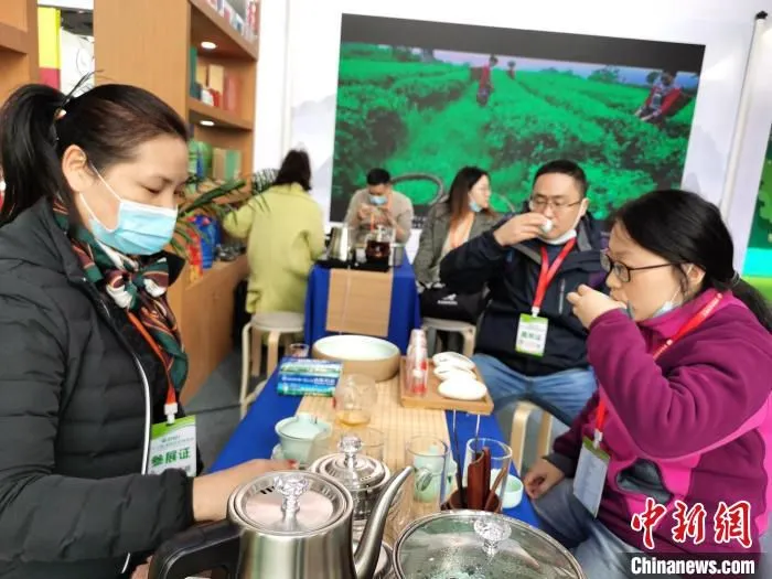 观众在茶博会现场品茶。　向一鹏 摄