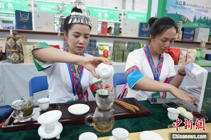4月23日，身穿民族服饰的柳州三江县茶商展示三月牙己茶的泡制流程。　欧惠兰 摄