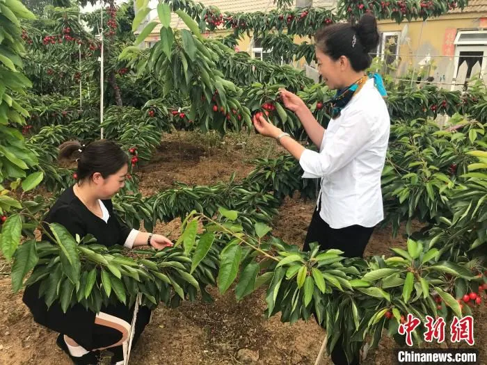 图为游客体验。　杨毅 摄