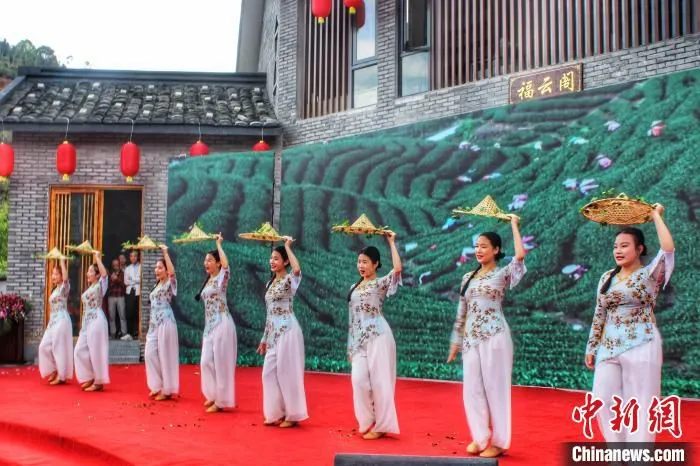 图为舞蹈《茶山情歌》。　叶茂 摄