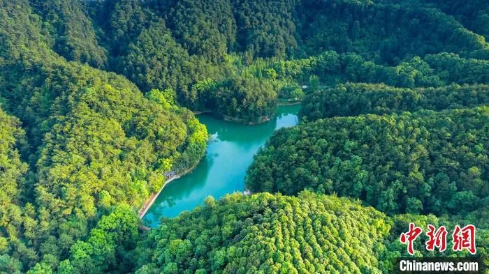 图为生态修复后的缙云山黛湖美如画。　秦廷富 摄