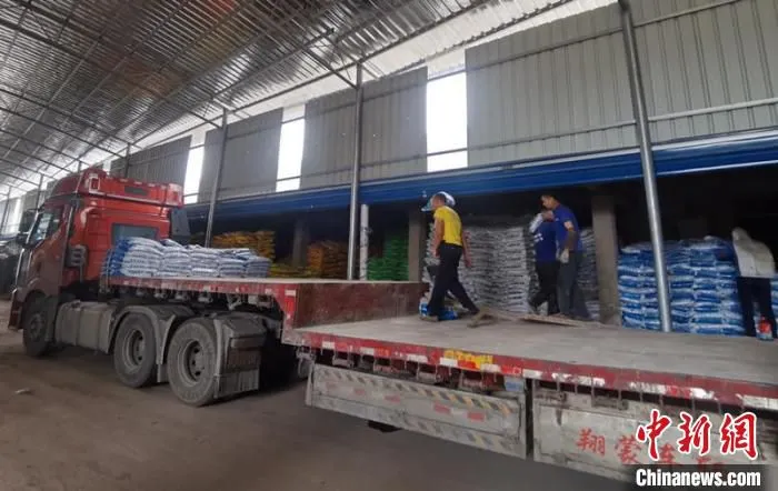 图为农资经销商加大化肥等物资的储备力度 林浩 摄
